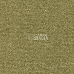 Ковролин Radici Nexus Muschio 8207 фото 1 | FLOORDEALER